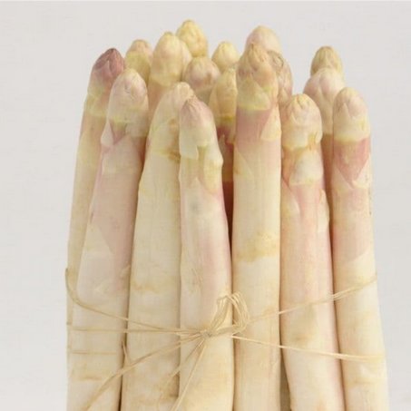 Vive les asperges et la permaculture !