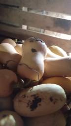 Butternuts